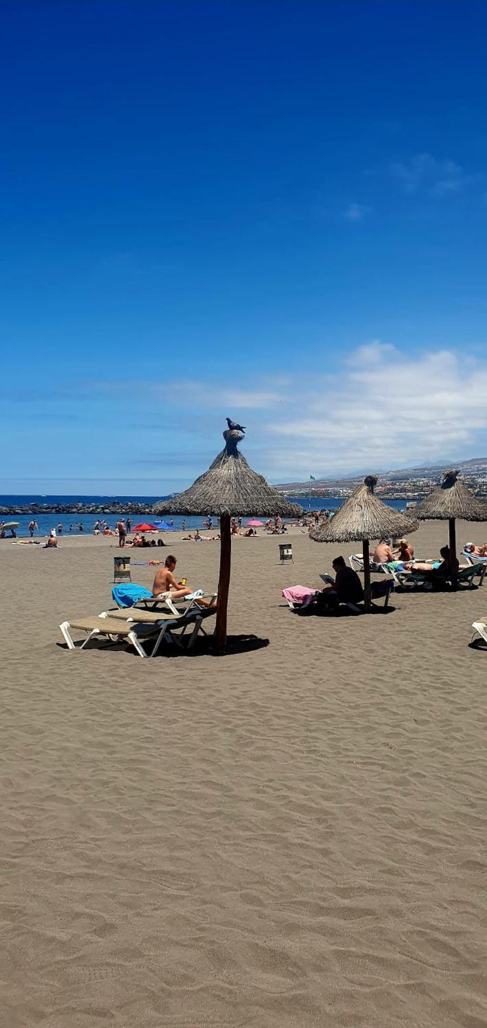 Wonderful White Appartament In Las Tortugas Playa de las Américas Dış mekan fotoğraf