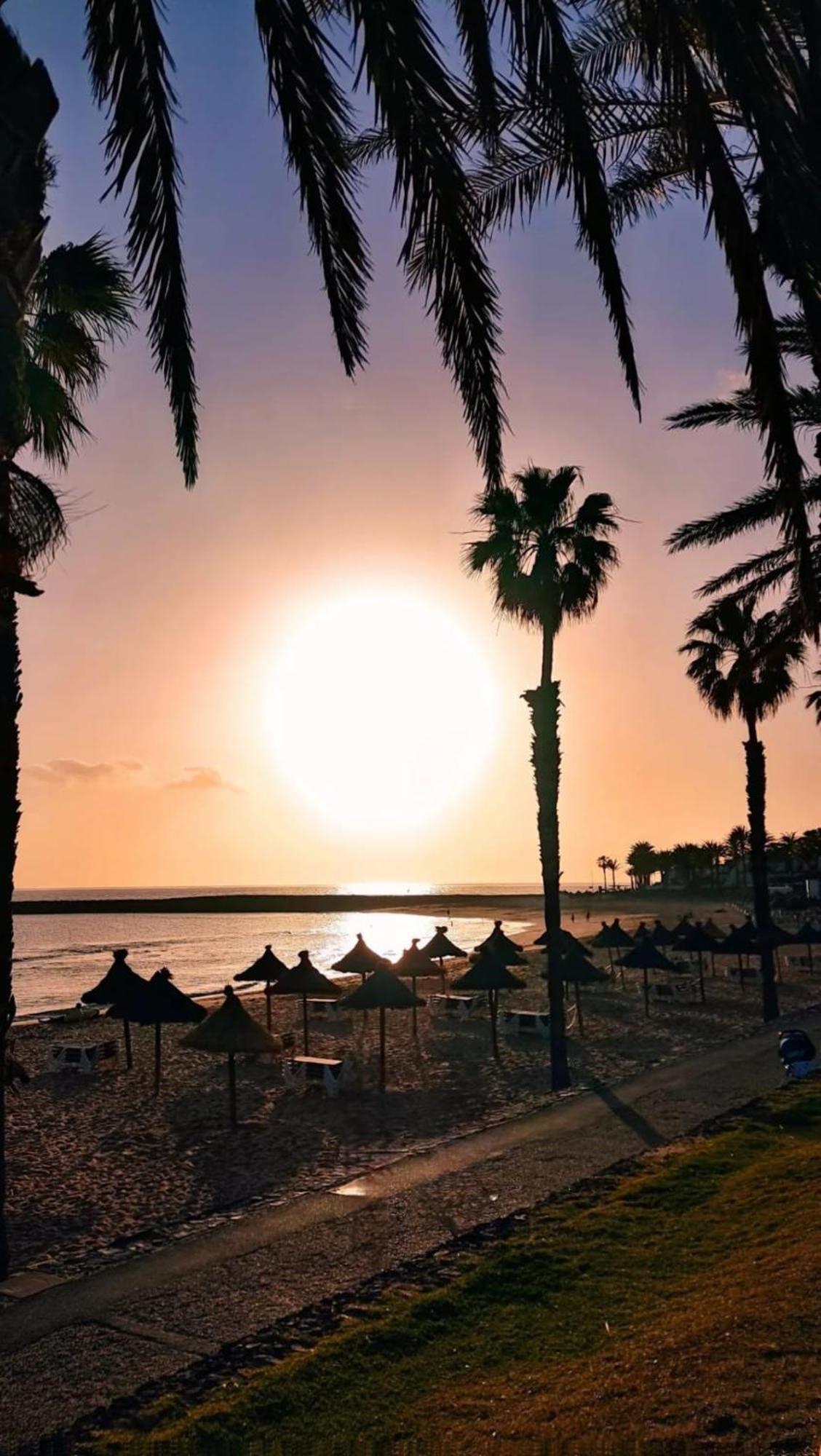 Wonderful White Appartament In Las Tortugas Playa de las Américas Dış mekan fotoğraf